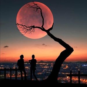 Meet your Posher, Daniele